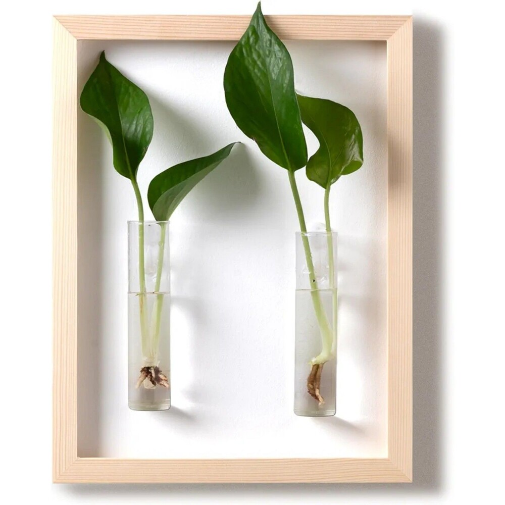 Wall Mounted Planter Vase NEW